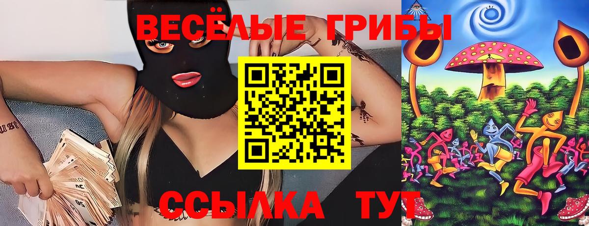 Галлюциногенные грибы Psilocybe  цены наркотик  Светлоград  Вход с VPN 